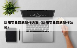 哈尔滨沈阳专业网站制作方案（沈阳专业网站制作公司）